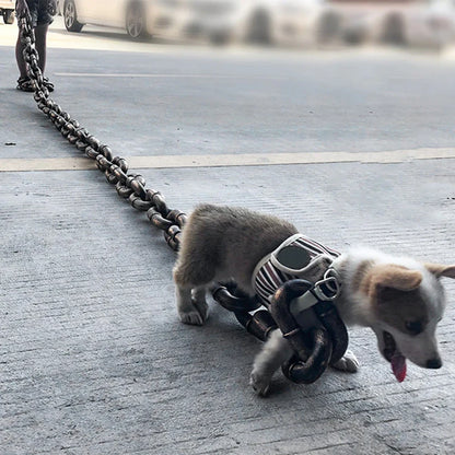 Funny Dog Chain Leash